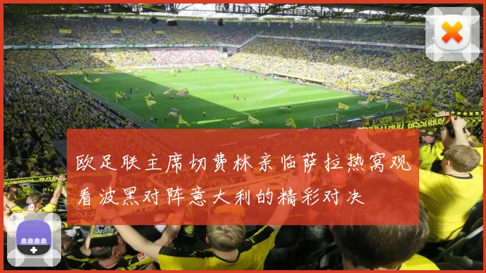 欧足联主席切费林亲临萨拉热窝观看波黑对阵意大利的精彩对决